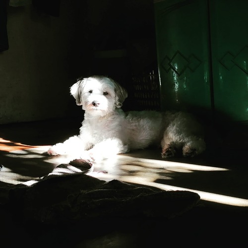 Isla