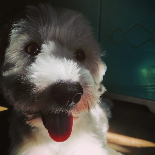 Quinn
