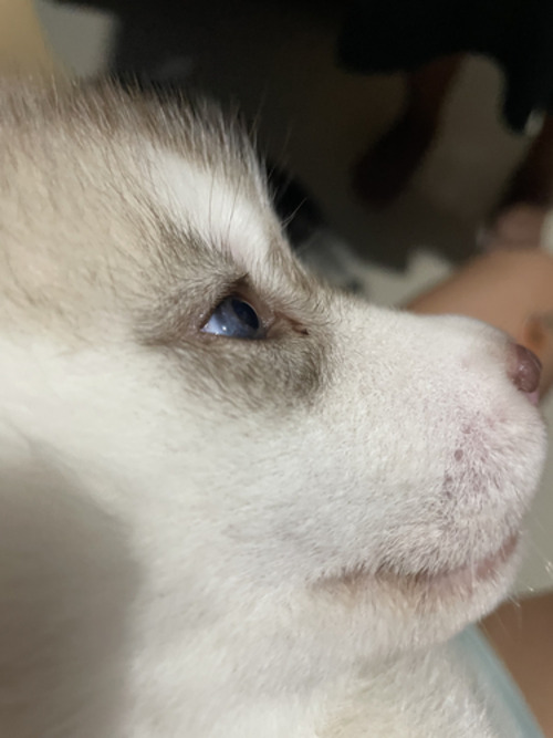 AeaeandCallie