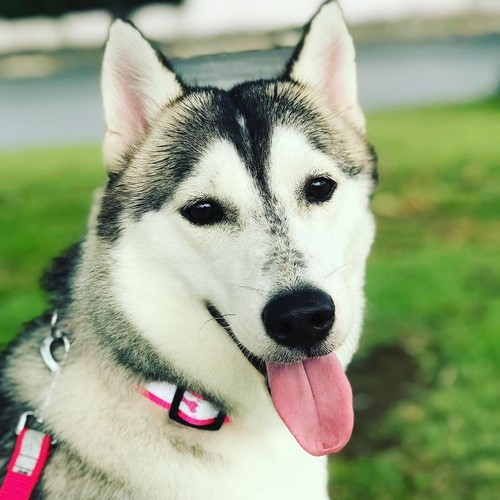 AeaeandCallie